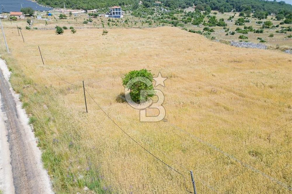 CB ARDEN'DEN KAŞ BELKONAK 17 DÖNÜM SATILIK YOL KENARI TARLA