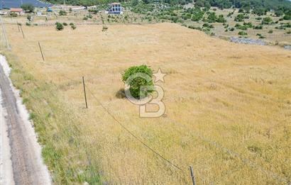 CB ARDEN'DEN KAŞ BELKONAK 17 DÖNÜM SATILIK YOL KENARI TARLA