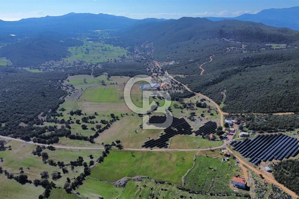 CB ARDEN'DEN KAŞ BELKONAK 17 DÖNÜM SATILIK YOL KENARI TARLA
