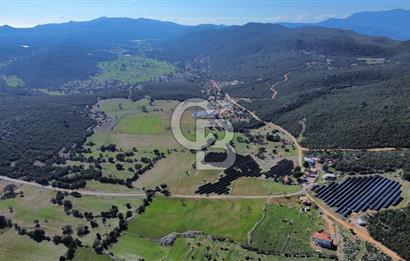 CB ARDEN'DEN KAŞ BELKONAK 17 DÖNÜM SATILIK YOL KENARI TARLA