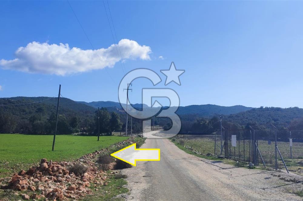 CB ARDEN'DEN KAŞ BELKONAK 17 DÖNÜM SATILIK YOL KENARI TARLA