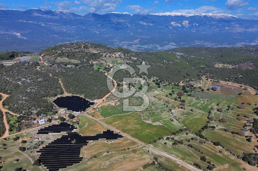 CB ARDEN'DEN KAŞ BELKONAK 17 DÖNÜM SATILIK YOL KENARI TARLA