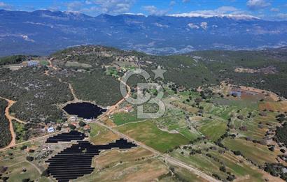 CB ARDEN'DEN KAŞ BELKONAK 17 DÖNÜM SATILIK YOL KENARI TARLA