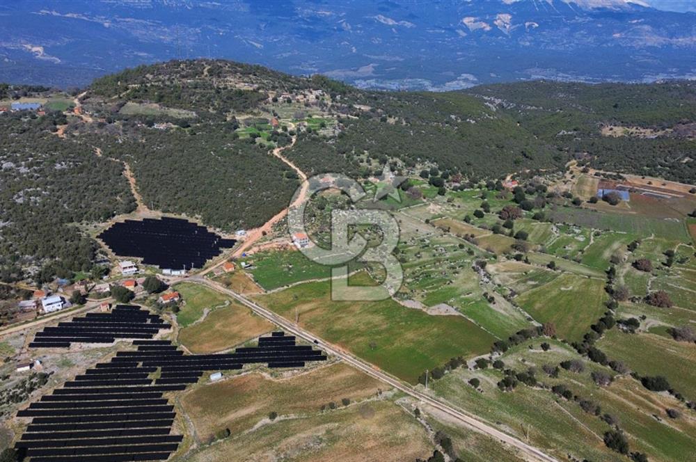 CB ARDEN'DEN KAŞ BELKONAK 17 DÖNÜM SATILIK YOL KENARI TARLA