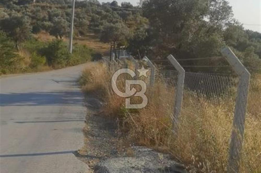 BUCA KAYNAKLAR 29 EKİM MAH.SATILIK TEK TAPU TARLA