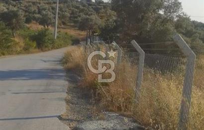 BUCA KAYNAKLAR 29 EKİM MAH.SATILIK TEK TAPU TARLA