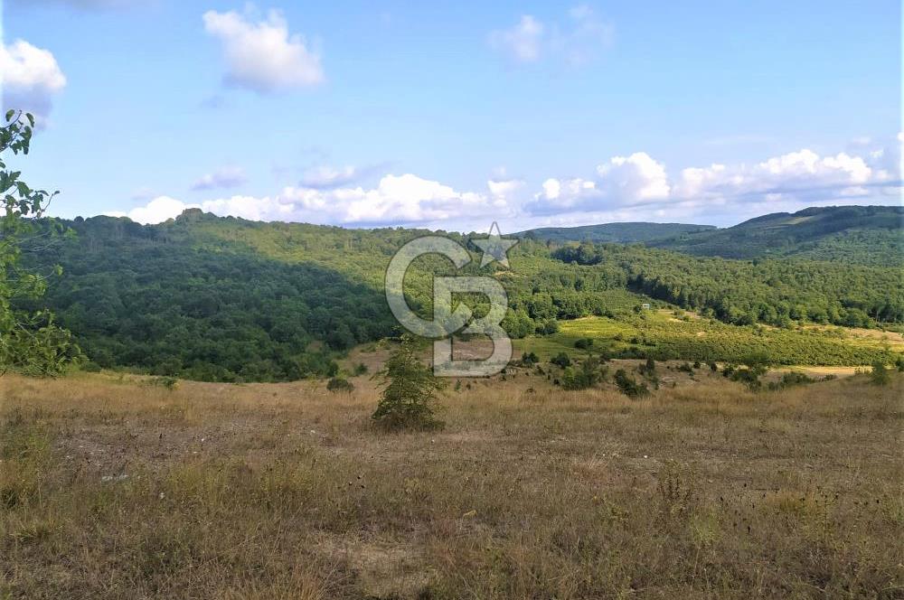SİLİVRİ ÇAYIRDERE 4.019 M2 YATIRIMLIK DEĞERLİ FIRSAT ARAZİ