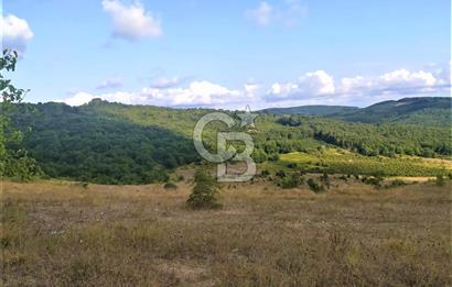 SİLİVRİ ÇAYIRDERE 4.019 M2 YATIRIMLIK DEĞERLİ FIRSAT ARAZİ