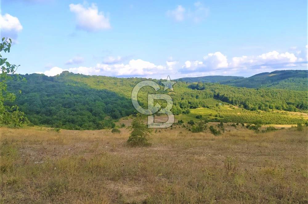 SİLİVRİ ÇAYIRDERE 4.019 M2 YATIRIMLIK DEĞERLİ FIRSAT ARAZİ