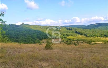 SİLİVRİ ÇAYIRDERE 4.019 M2 YATIRIMLIK DEĞERLİ FIRSAT ARAZİ