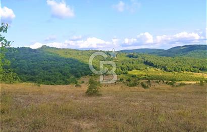 SİLİVRİ ÇAYIRDERE 4.019 M2 YATIRIMLIK DEĞERLİ FIRSAT ARAZİ