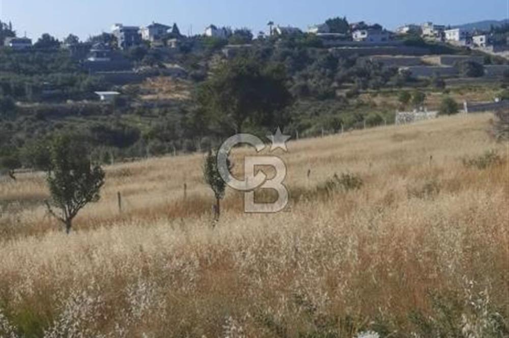 BUCA KAYNAKLAR 29 EKİM MAH.SATILIK TEK TAPU TARLA