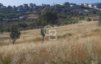 BUCA KAYNAKLAR 29 EKİM MAH.SATILIK TEK TAPU TARLA