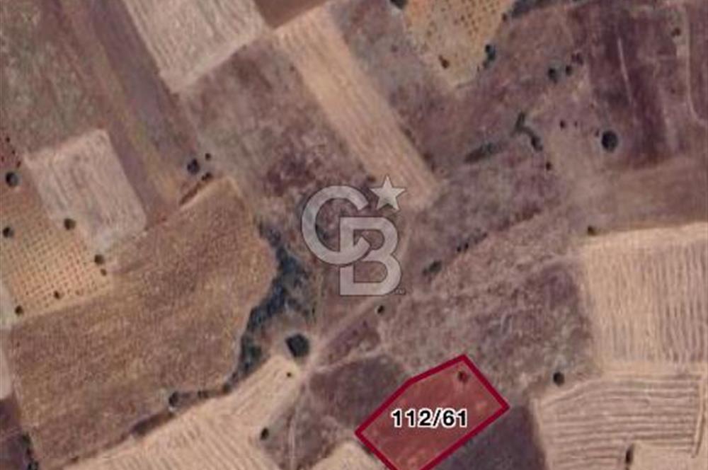 Denizli Bekilli Çoğaşlı Mh. Satılık 2.551 m2 Tarla 