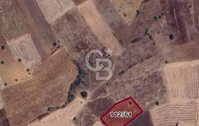 Denizli Bekilli Çoğaşlı Mh. Satılık 2.551 m2 Tarla 