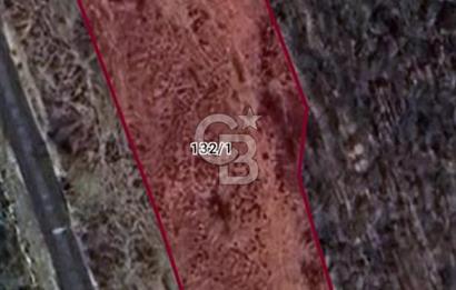 SİLİVRİ ÇAYIRDERE 4.019 M2 YATIRIMLIK DEĞERLİ FIRSAT ARAZİ