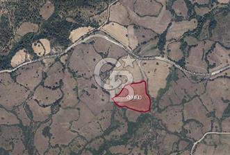 ÇANAKKALE LAPSEKİ HACIGELEN YATIRIMLIK 23.000 M2 TARLA BADEMLİK