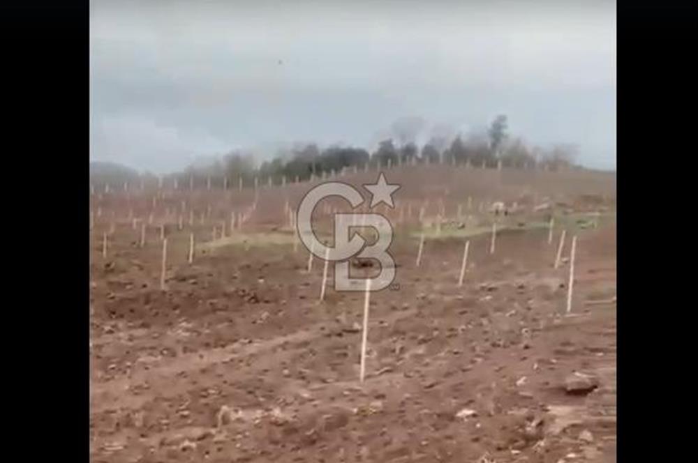 ÇANAKKALE LAPSEKİ HACIGELEN YATIRIMLIK 23.000 M2 TARLA BADEMLİK
