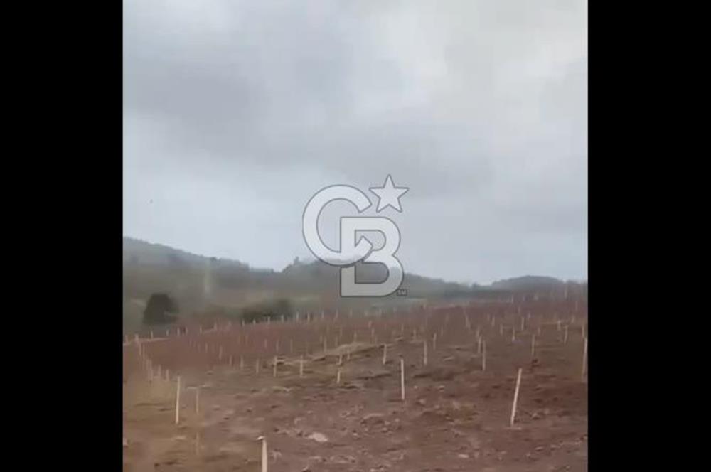 ÇANAKKALE LAPSEKİ HACIGELEN YATIRIMLIK 23.000 M2 TARLA BADEMLİK