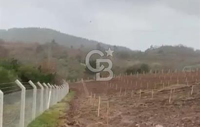 ÇANAKKALE LAPSEKİ HACIGELEN YATIRIMLIK 23.000 M2 TARLA BADEMLİK