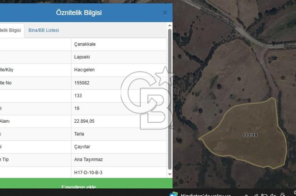 ÇANAKKALE LAPSEKİ HACIGELEN YATIRIMLIK 23.000 M2 TARLA BADEMLİK
