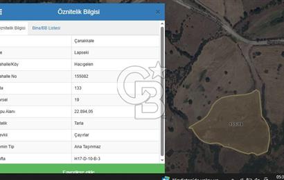 ÇANAKKALE LAPSEKİ HACIGELEN YATIRIMLIK 23.000 M2 TARLA BADEMLİK