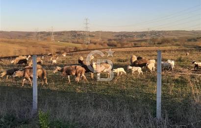 Kocaeli Kandıra'da Satılık 1169 m² Etrafı Çevrili Tarla