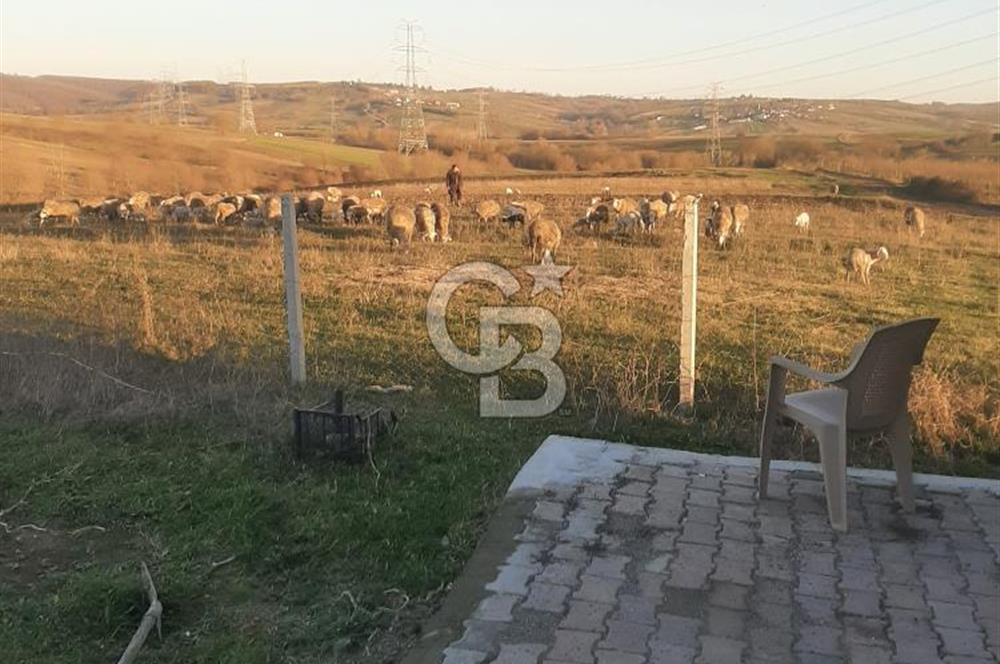 Kocaeli Kandıra'da Satılık 1169 m² Etrafı Çevrili Tarla