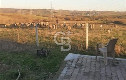 Kocaeli Kandıra'da Satılık 1169 m² Etrafı Çevrili Tarla
