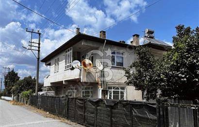 YALOVA ALTINOVA DA YATIRIMLIK TARLA KİVİ BAHÇESİ