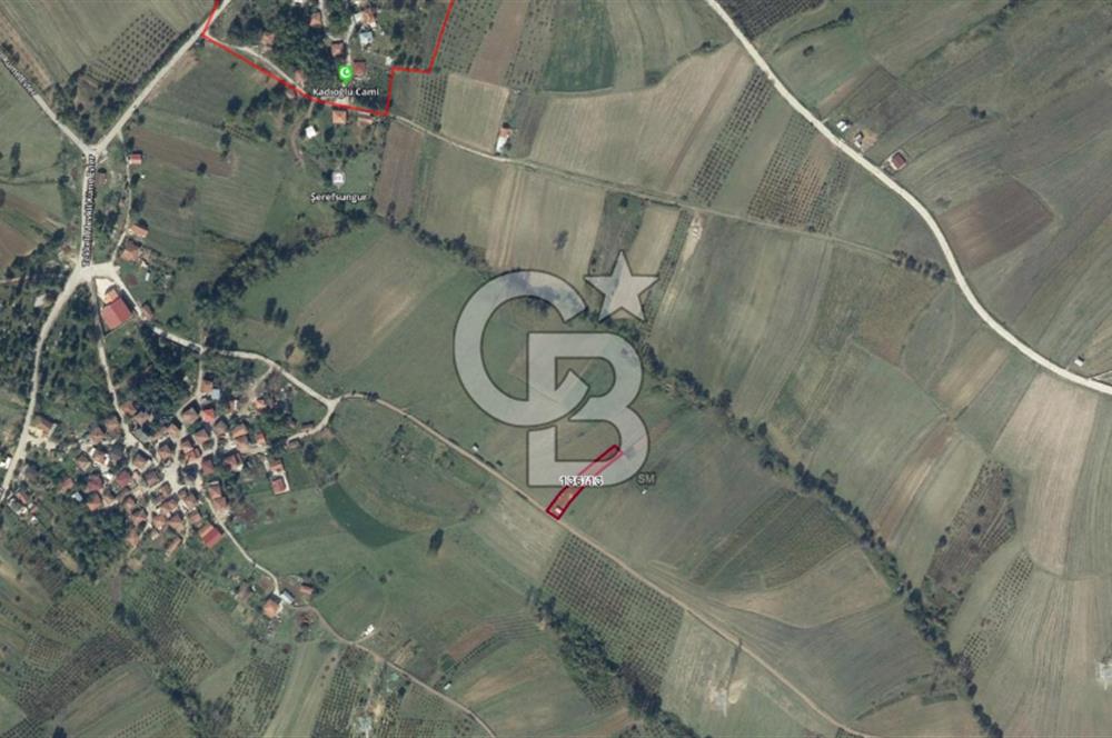 Kocaeli Kandıra'da Satılık 1169 m² Etrafı Çevrili Tarla