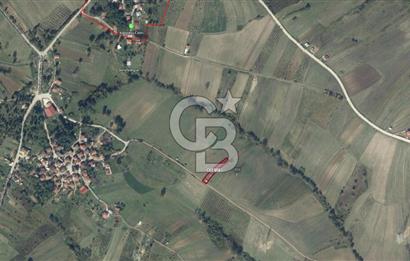 Kocaeli Kandıra'da Satılık 1169 m² Etrafı Çevrili Tarla