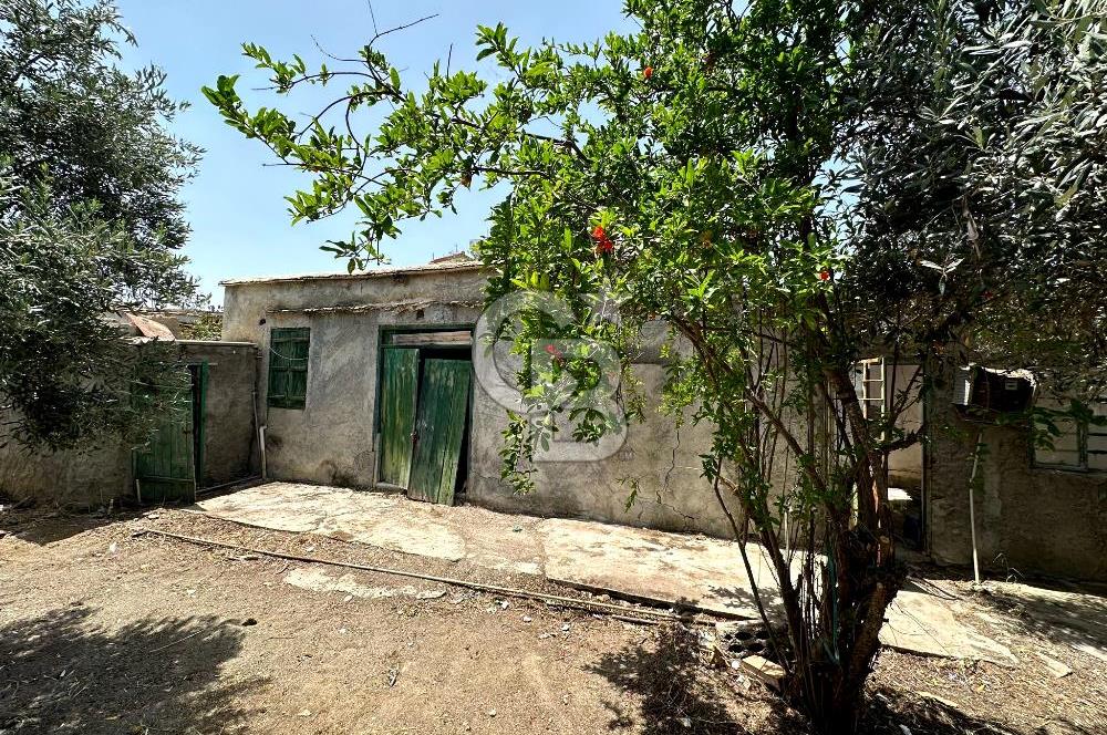 KIBRIS / İSKELE / ALTINOVA DA MÜSTAKİL EV