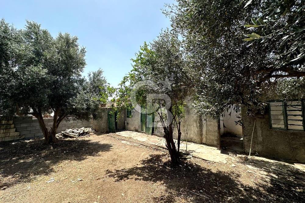 KIBRIS / İSKELE / ALTINOVA DA MÜSTAKİL EV