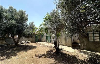 KIBRIS / İSKELE / ALTINOVA DA MÜSTAKİL EV