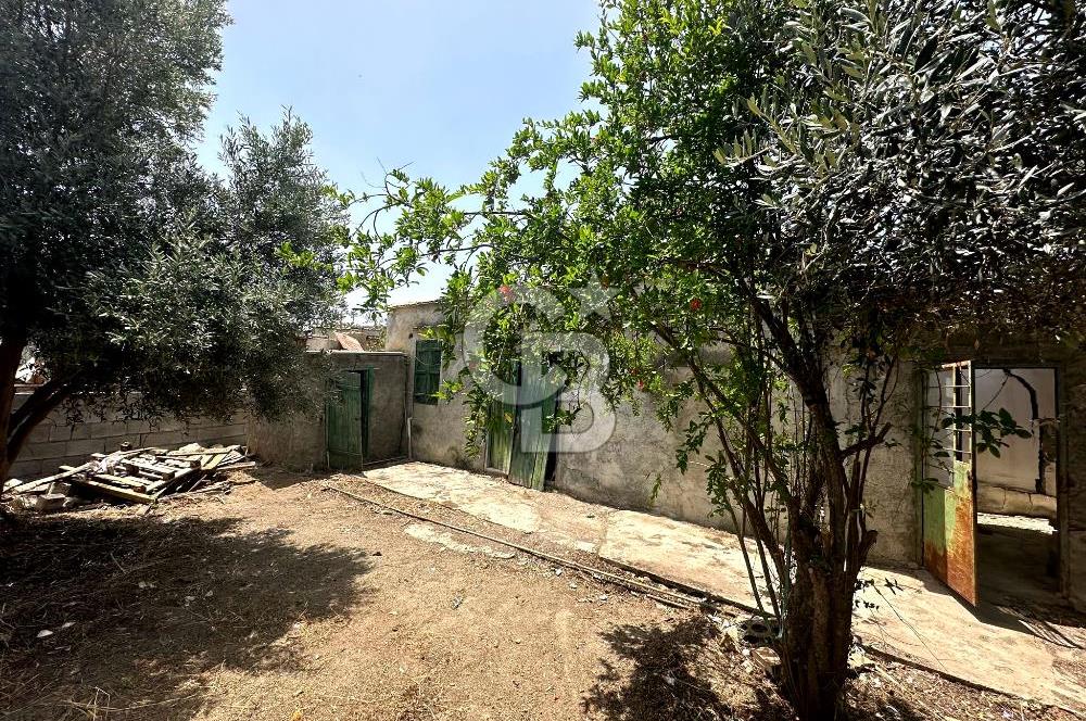 KIBRIS / İSKELE / ALTINOVA DA MÜSTAKİL EV
