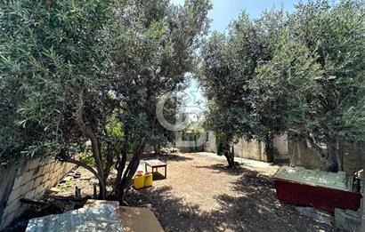 KIBRIS / İSKELE / ALTINOVA DA MÜSTAKİL EV