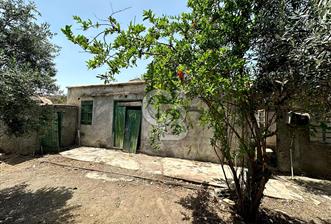 KIBRIS / İSKELE / ALTINOVA DA KÖY EVİ