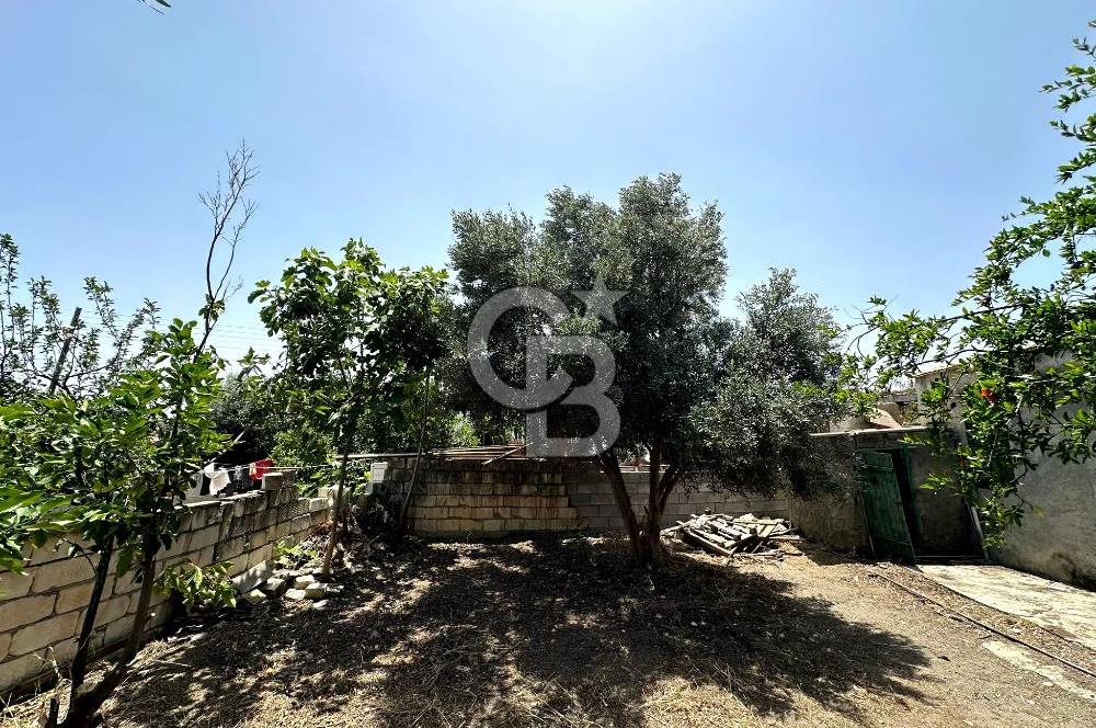 KIBRIS / İSKELE / ALTINOVA DA MÜSTAKİL EV