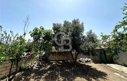 KIBRIS / İSKELE / ALTINOVA DA MÜSTAKİL EV