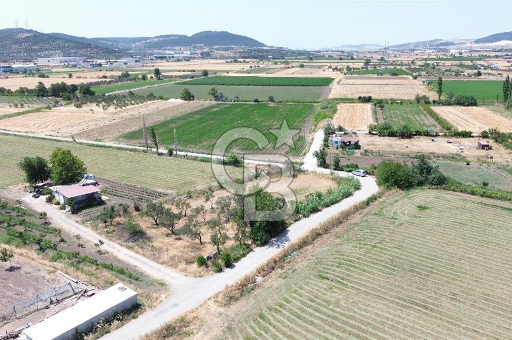 HELVACI'DA KÖŞE PARSEL 1400 M2 SATILIK BAHÇE
