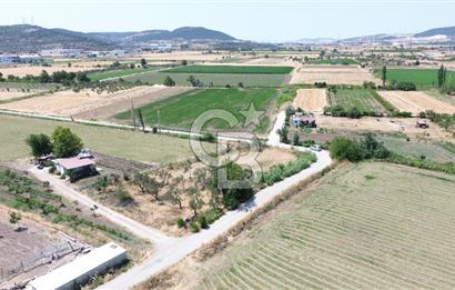 HELVACI'DA KÖŞE PARSEL 1400 M2 SATILIK BAHÇE