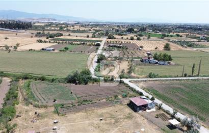 HELVACI'DA KÖŞE PARSEL 1400 M2 SATILIK BAHÇE