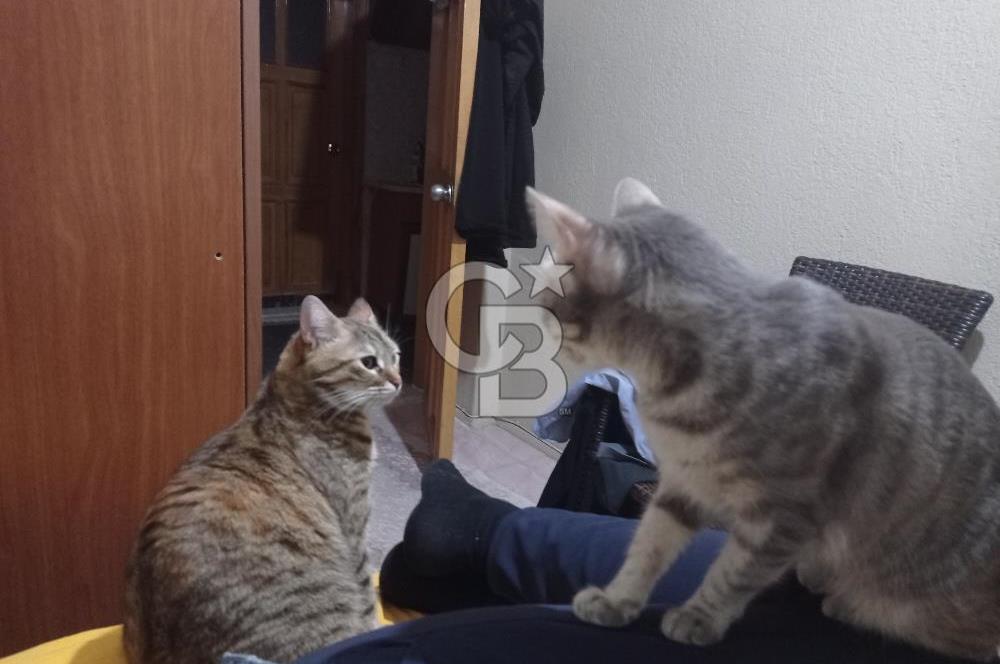 BUCA YAYLACIK MAHALLESİNDE SATILIK 3+1 DAİRE