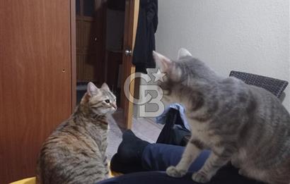 BUCA YAYLACIK MAHALLESİNDE SATILIK 3+1 DAİRE