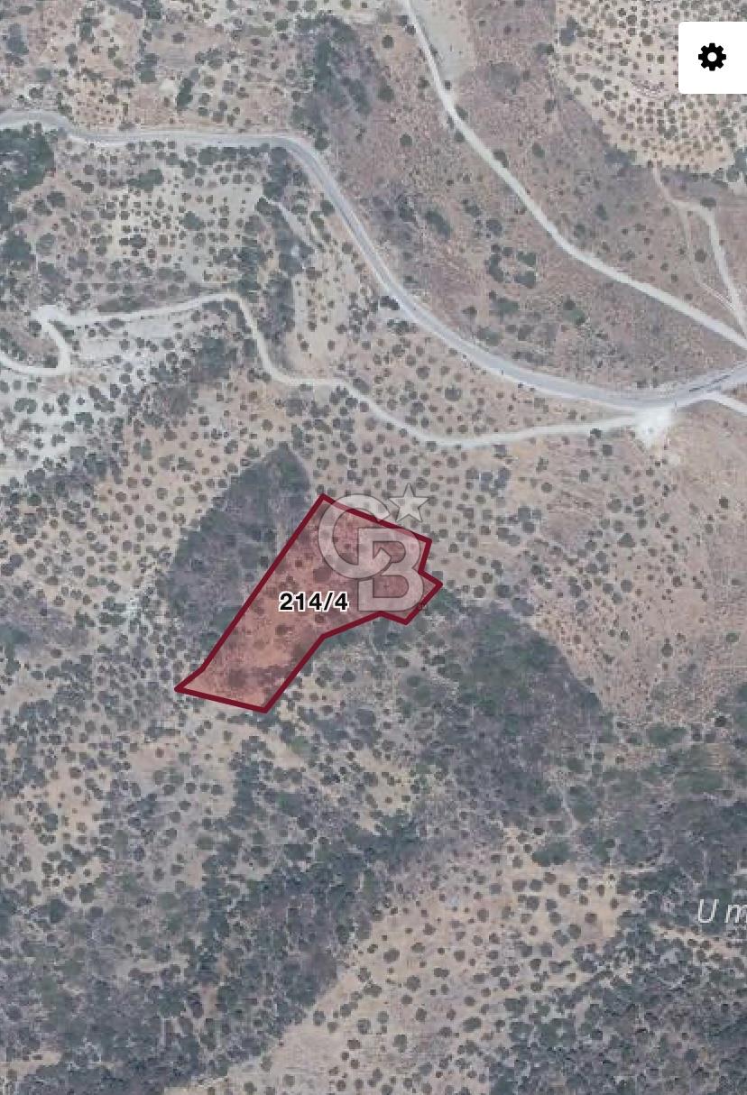 BAĞLARÖZÜ'NDE 6.650m2 YATIRIMLIK SATILIK ZEYTİNLİK TARLA