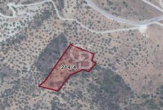 BAĞLARÖZÜ'NDE 6.650m2 YATIRIMLIK SATILIK ZEYTİNLİK TARLA