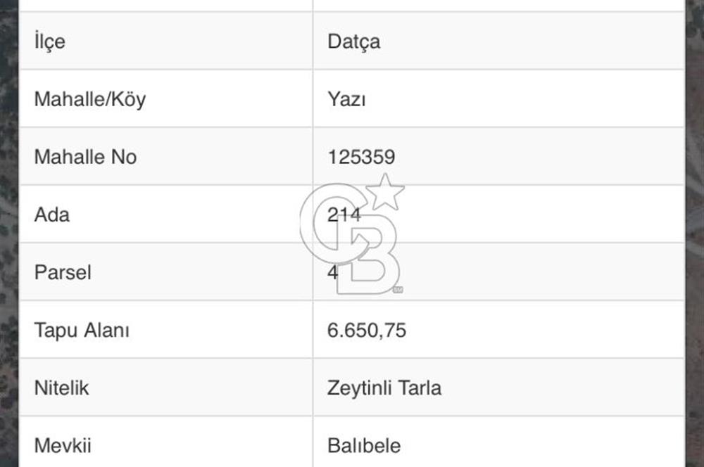 BAĞLARÖZÜ'NDE 6.650m2 YATIRIMLIK SATILIK ZEYTİNLİK TARLA