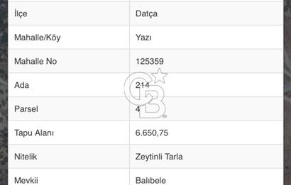 BAĞLARÖZÜ'NDE 6.650m2 YATIRIMLIK SATILIK ZEYTİNLİK TARLA