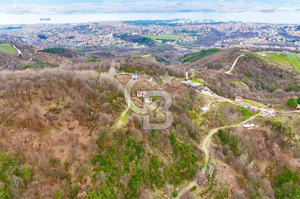 CB TAN- GÖLCÜK/SARAYLI/SİVRİTEPE SATILIK 10.616 m2 SATILIK ARAZİ